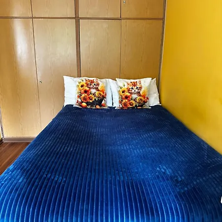 Travel House Гостьовий будинок